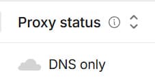 Колонка Proxy status в Cloudflare: серое облако и подпись DNS only